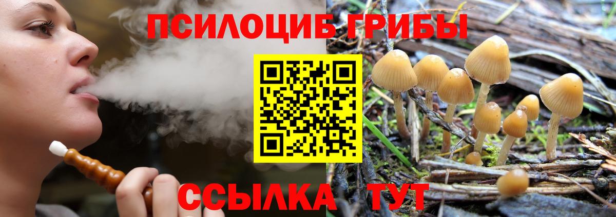 Галлюциногенные грибы ЛСД Глазов